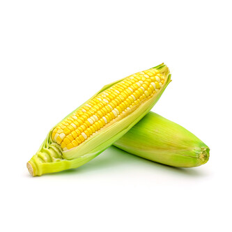Vegetable Sweet Corn Sample